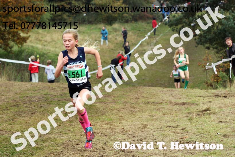 Girls under-13s, National Cross Country Relays, Berry Park, Mansfield. Photo: David T. Hewitson/Sports for All Pics